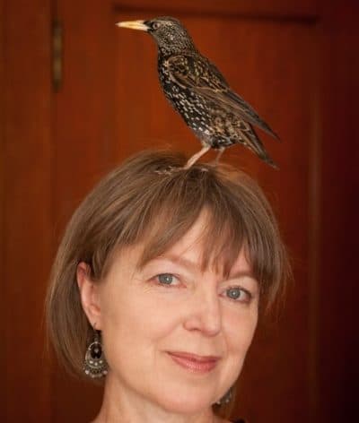 A starling sits atop author Lyanda Lynn Haupt's head. (Courtesy Tom Furtwangler)