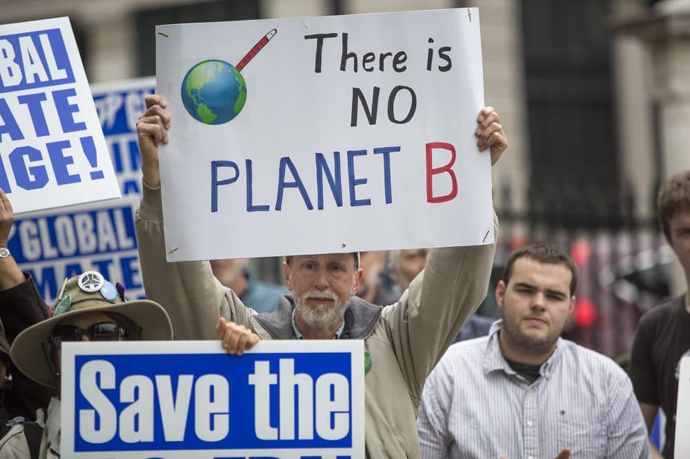 (Jesse Costa/WBUR)
