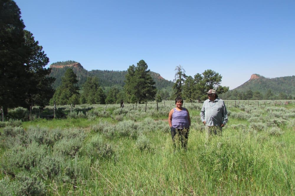 Regina Lopez Whiteskunk, a Ute, and Jonah Yellowman, a Navajo, were part of the coalition that gave up on a legislative solution for protections at Bears Ears and urged President Obama to create the Bears Ears National Monument. The two are shown last summer in an herb-gathering area behind the iconic buttes. (Judy Fahys/KUER News)