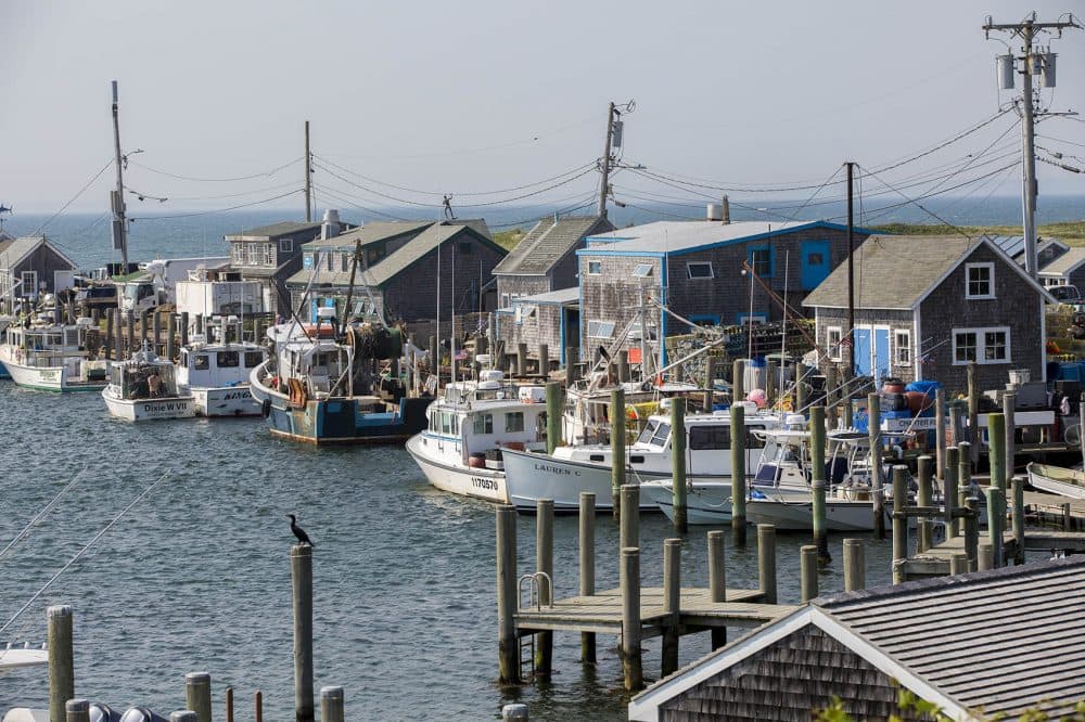 Dutcher's Dock in Menemsha (Jesse Costa/WBUR)