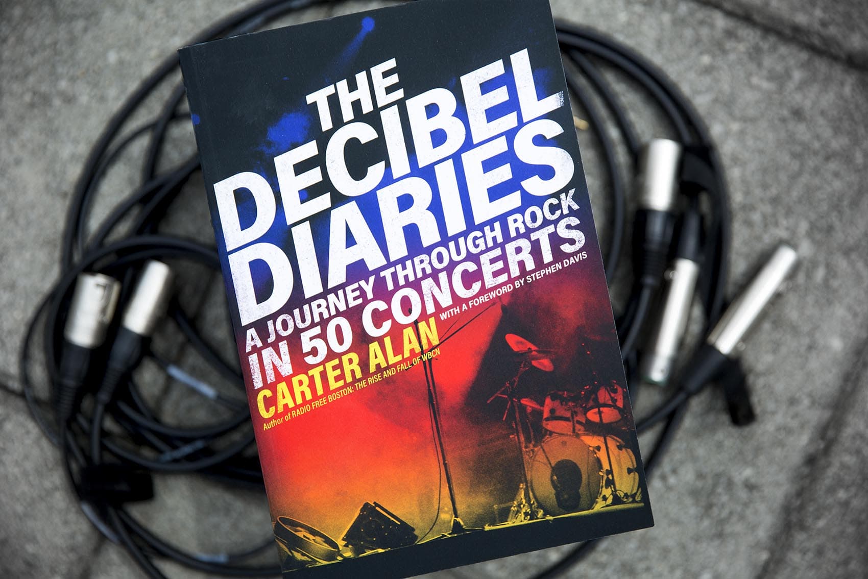 Image result for the decibel diaries