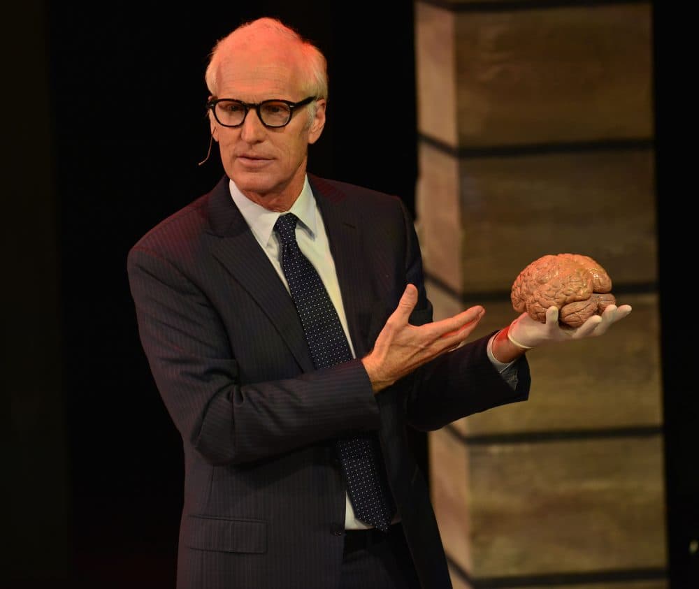 Brad Hall as Dr. Toby Sealey. (Courtesy Gary Ng/Gloucester Stage)