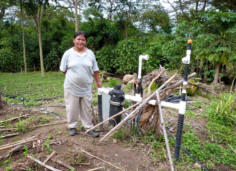 Dilcia Garcia beside the irrigation system that was installed with USAID funding. President Trump’s new budget proposal would discontinue the development aid money for her project and others like it. (Karyn Miller-Medzon/Here & Now)