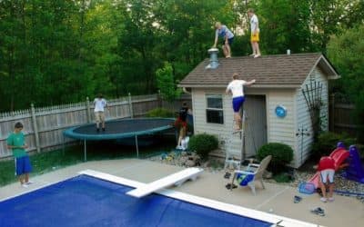The Lefever boys in their natural habitat (Nancy Lefever)