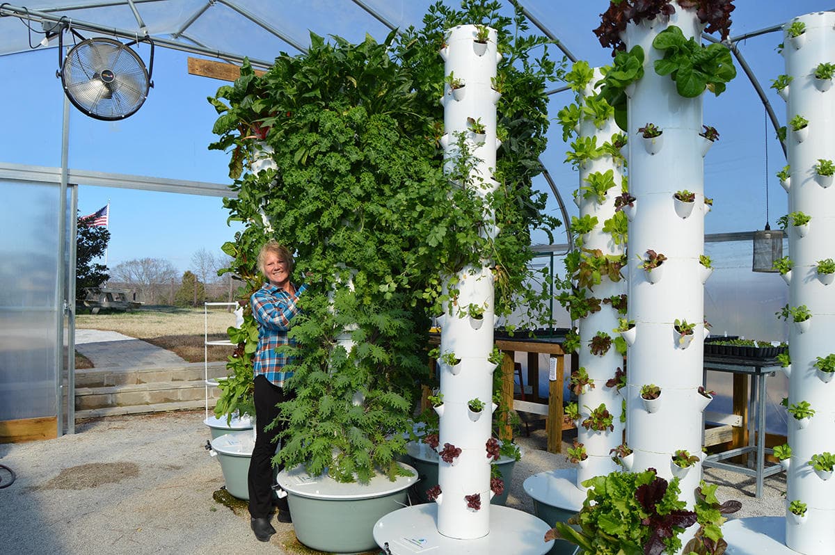 Futuristic Vertical Farming Sprouts Up In Tennessee Greenhouses Here And Now