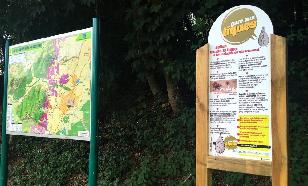 One of the new French signs warning of ticks at forest trailheads. (David Scales for WBUR)