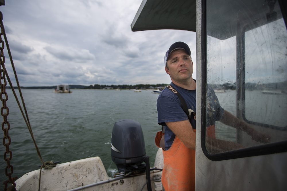 Ben Lloyd, an oyster grower and founder of Pangea Shellfish, navigates towards "Home Base" -- a floating dock on Duxbury Bay. (Jesse Costa/WBUR)