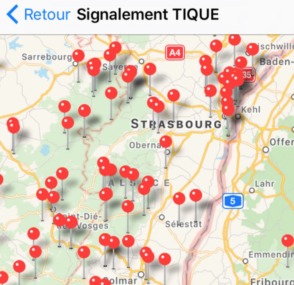 A screenshot from new French app for tracking tick encounters. (Courtesy Joseph Koehly)