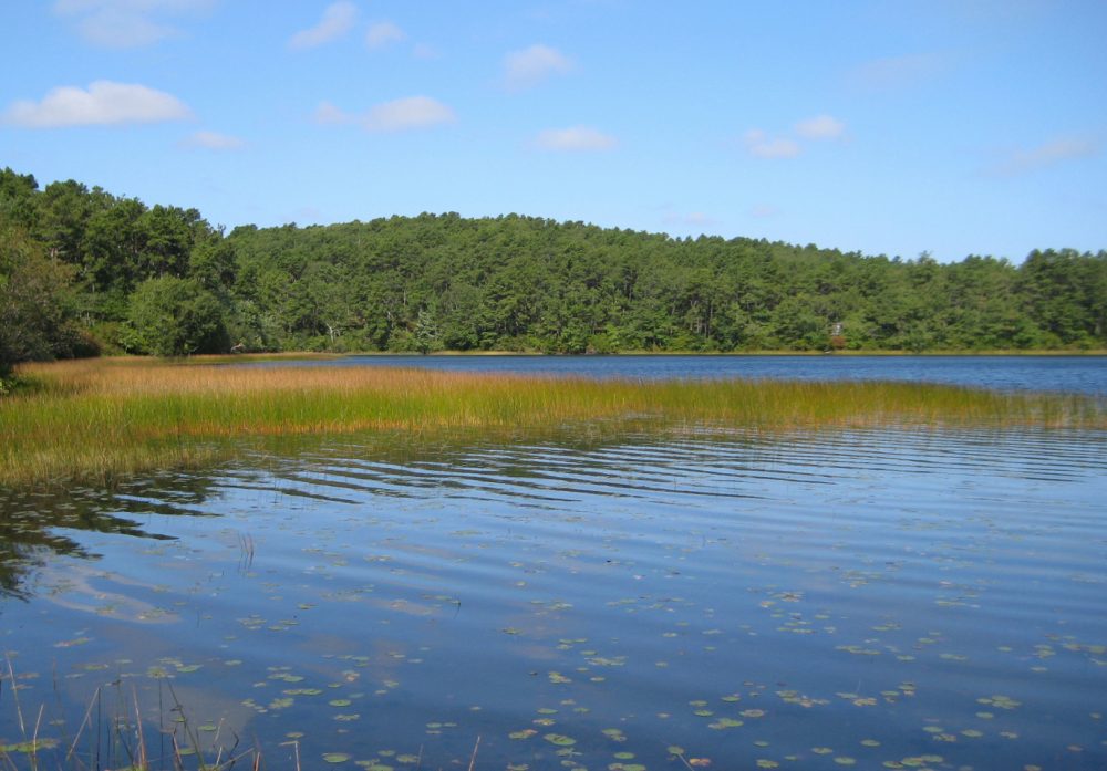 Cape Cod's Kettle Ponds Are Showing Signs Of Climate Change WBUR News