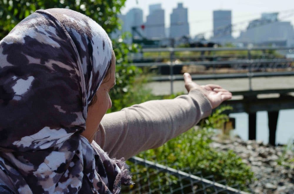 Magdalena Ayed, a grassroots activist in East Boston, stands on the city's "harborwalk" behind Shaw's supermarket. (Elizabeth Gillis/WBUR)