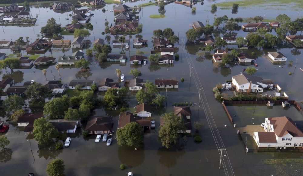 In this aerial photo, homes sit in floodwaters caused Harvey in Port Arthur, Texas, Friday, Sept. 1, 2017. (LM Otero/AP)
