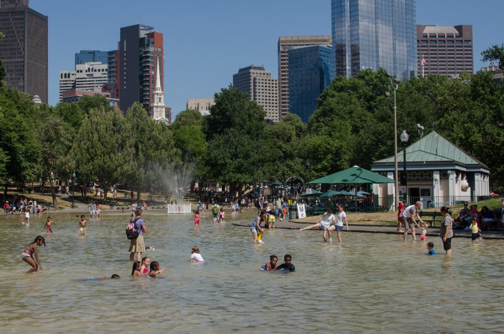 How The Boston Common And Public Garden Are Trying To Address