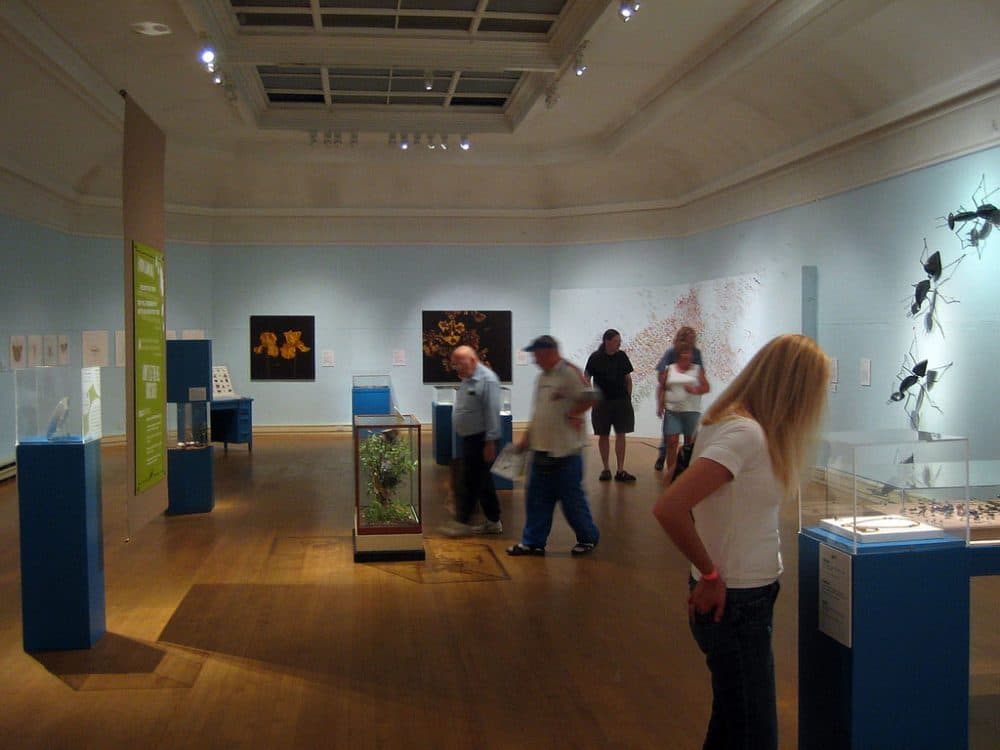 A 2009 science exhibit at the Berkshire Museum. (Flickr)