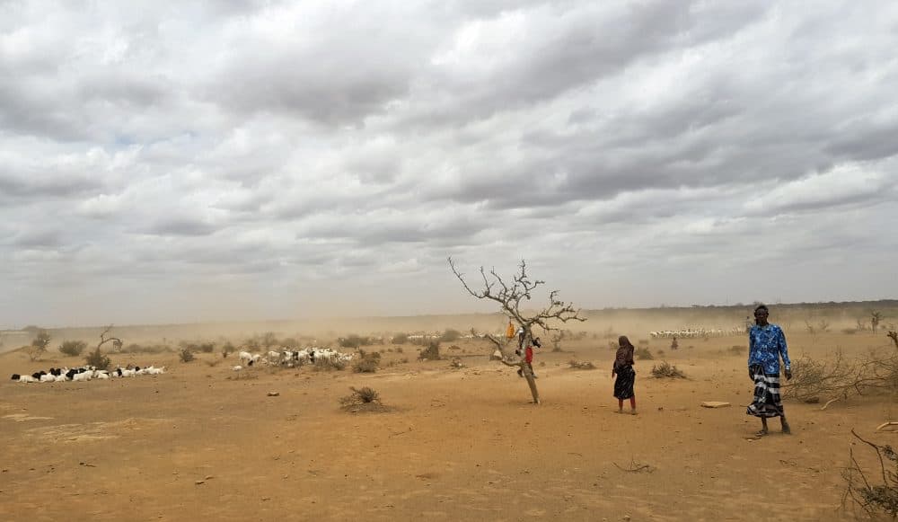 On Sept. 3, dust clouds blow across the parched landscape in the Danan district of the Somali region of Ethiopia, which hasn't seen significant amounts of rain in the past three years. (Elias Meseret/AP)