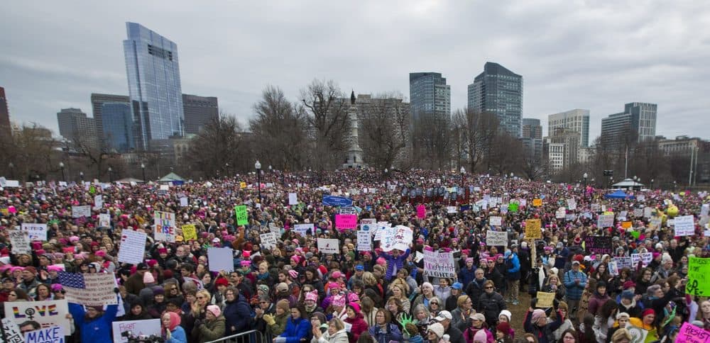 Demonstrators filled the Boston Common. (Jesse Costa/WBUR)