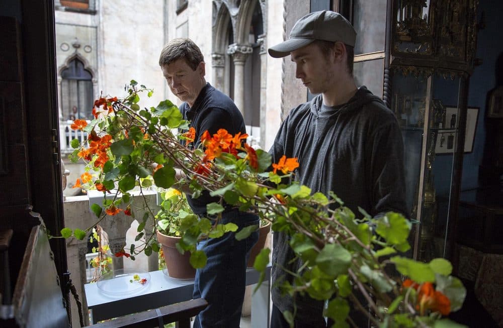 Stan Kozak and Leland Eglin gently pass one of the nasturtium plants over a balcony into the museum courtyard. (Robin Lubbock/WBUR)