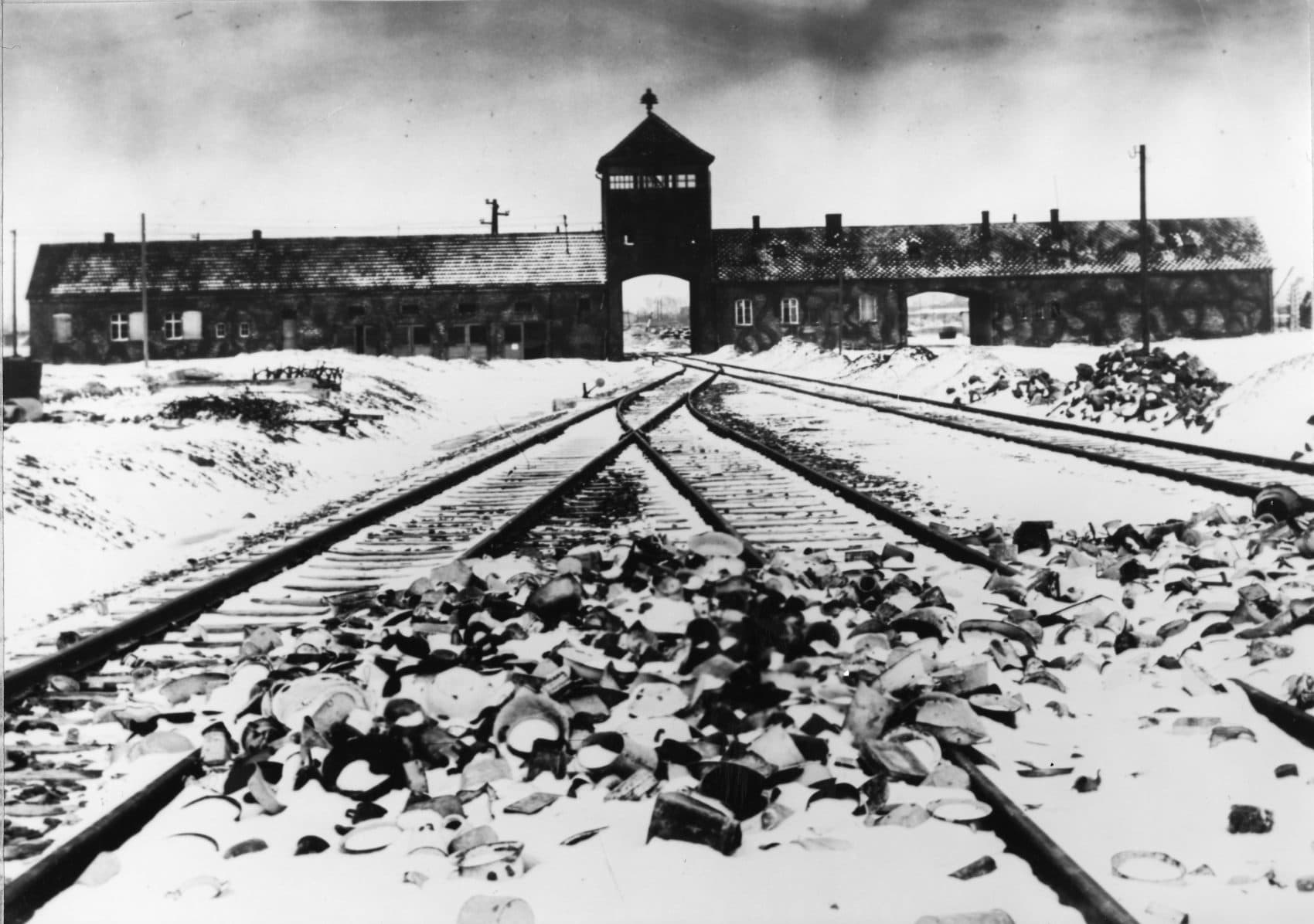 revisiting-concentration-camp-atrocities-in-shattering-clarity-the