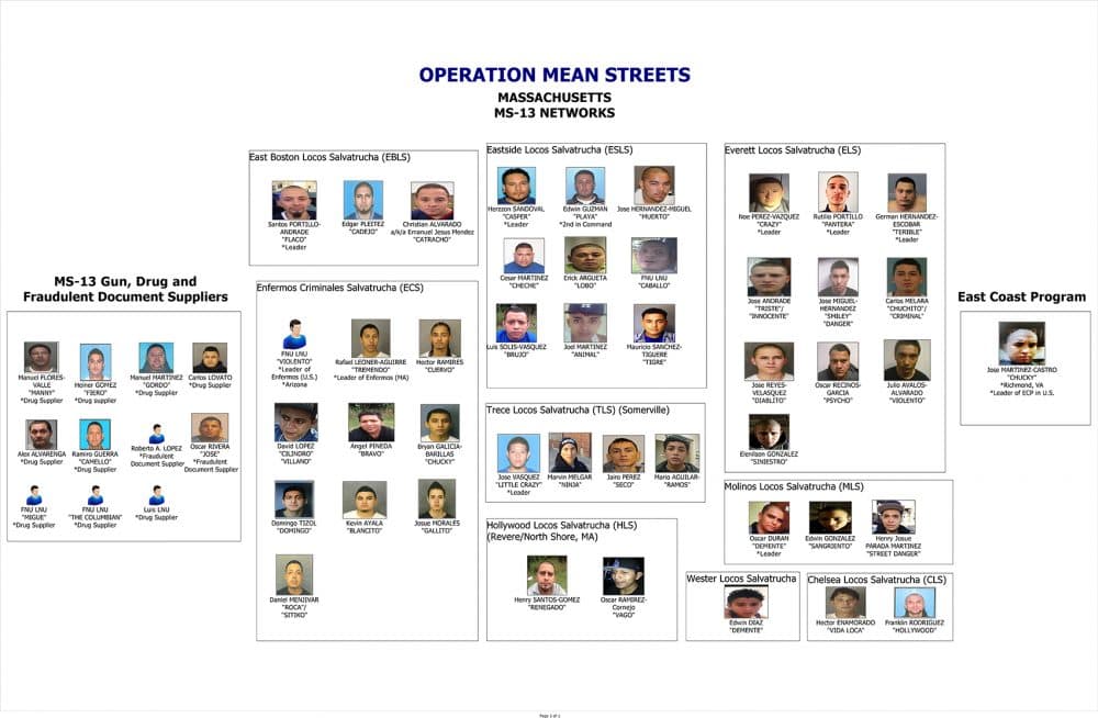 A chart of the organizational structure of MS-13 attached to the affidavit in support of the government's motion for detention.