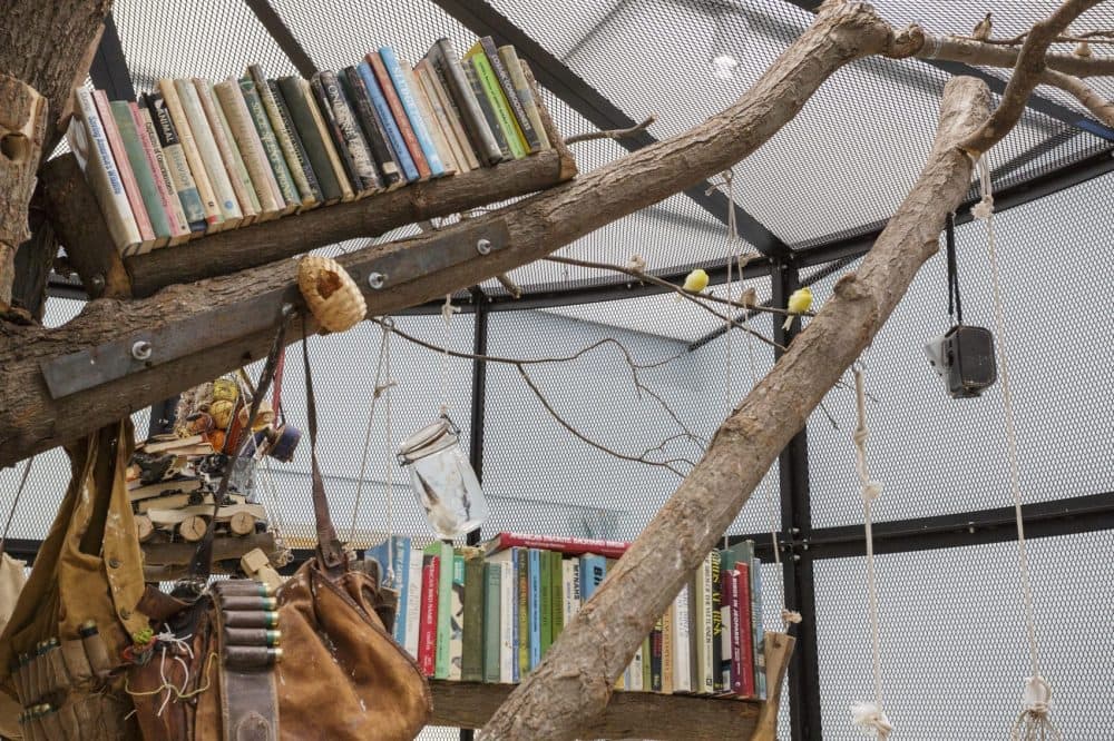 A section of Mark Dion's exhibition at the ICA. (John Kennard/Institute of Contemporary Arts)