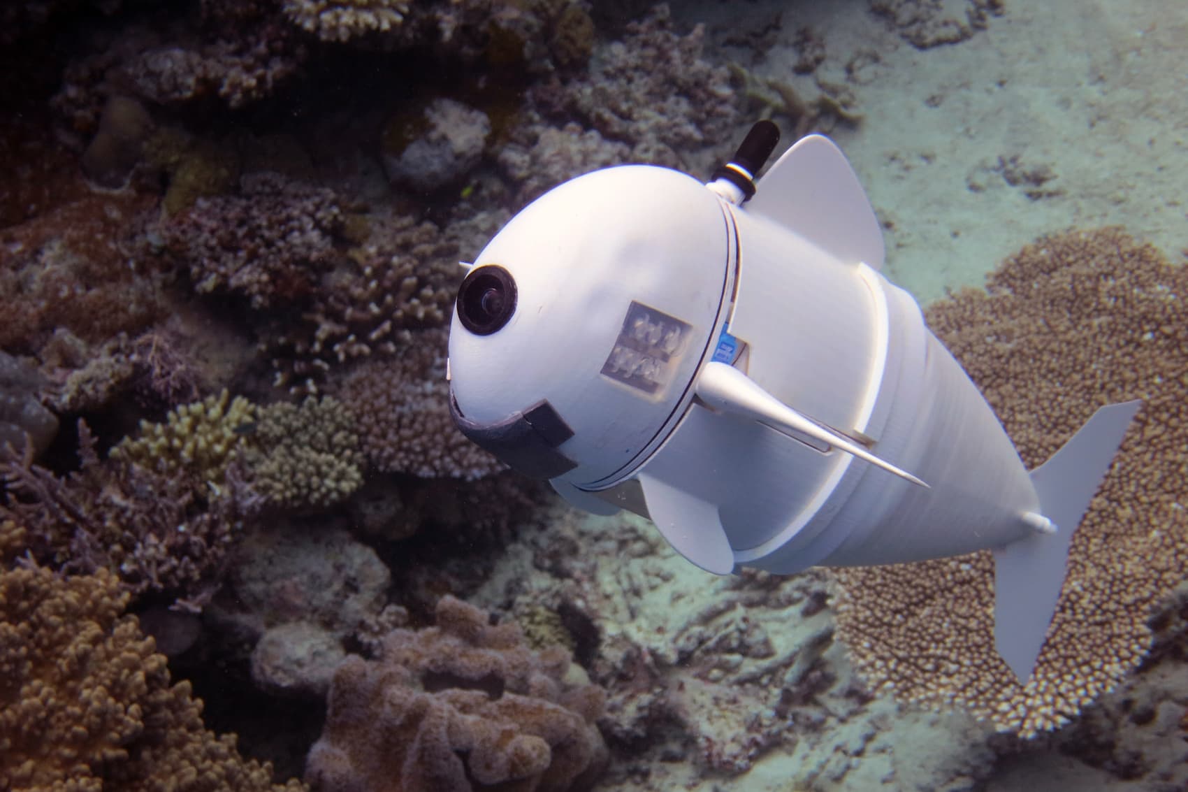 This Robotic Fish Could Create A 'New Field Of Underwater Research