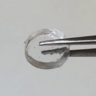 The disc of hydrogel that slowly releases an immune-boosting drug. (Courtesy Chun Gwon Park )