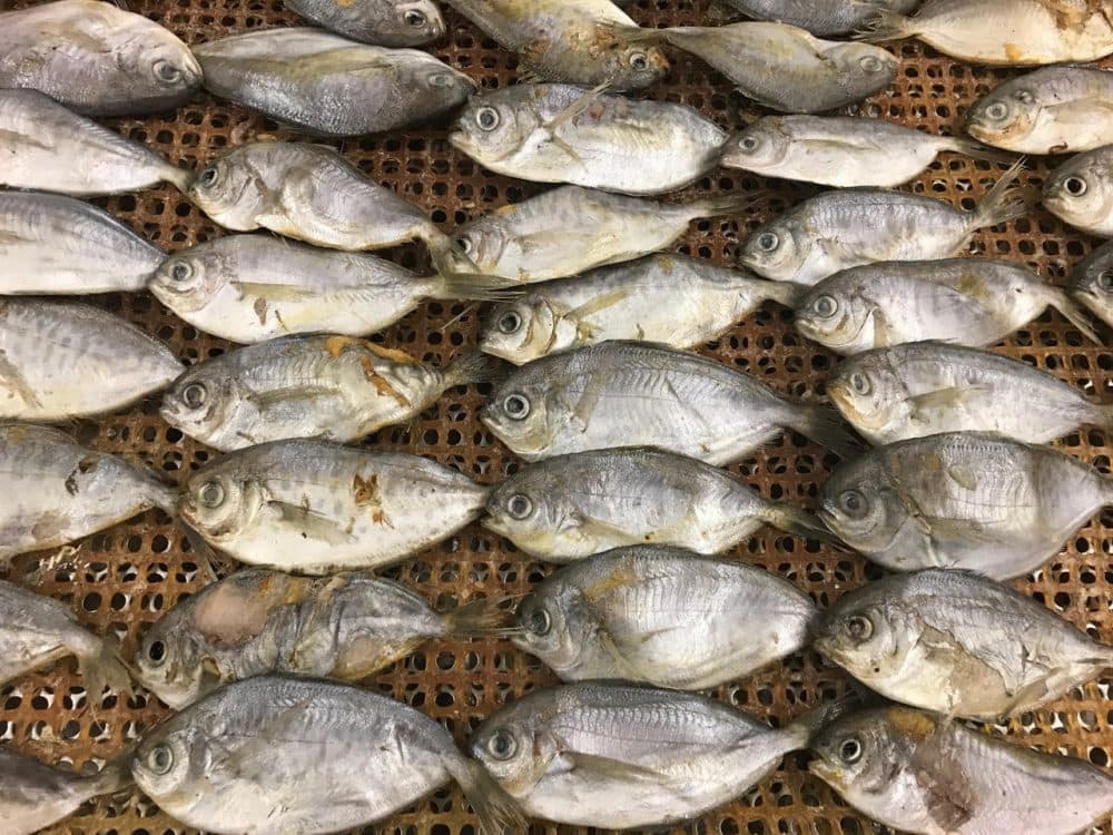 Butterfish laid out to dry for the snacks. (Courtesy of Deb Suchman)