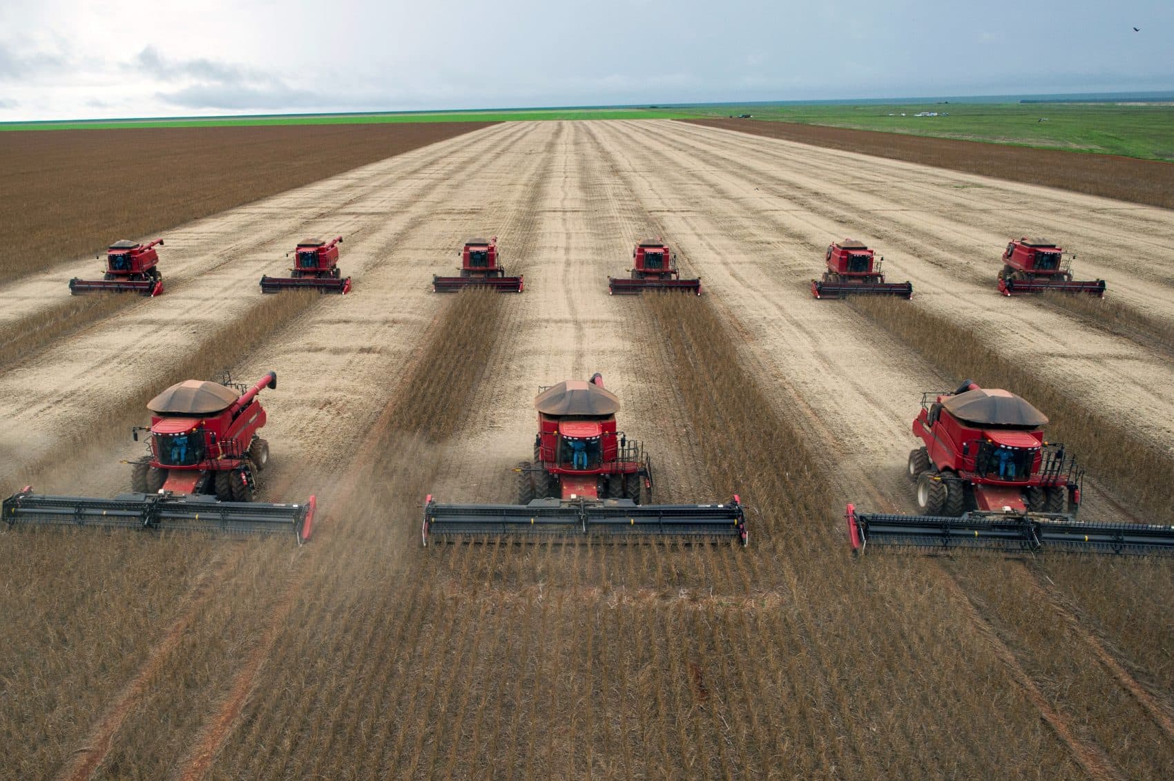 Why Tariffs On U S Soybeans Would Be Good For Brazil Here Now
