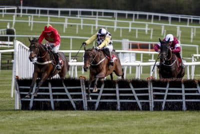 Bill Littlefield couldn't stay away from sports, even on vacation. There, he got the chance to catch a not-so-chaotic horse race. (Photo by Alan Crowhurst/Getty Images)