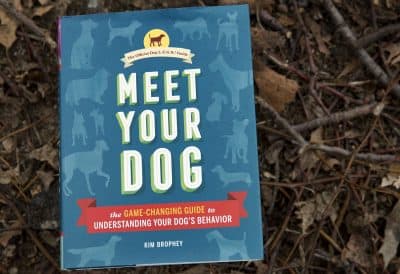 "Meet Your Dog," by Kim Brophey. (Robin Lubbock/WBUR)