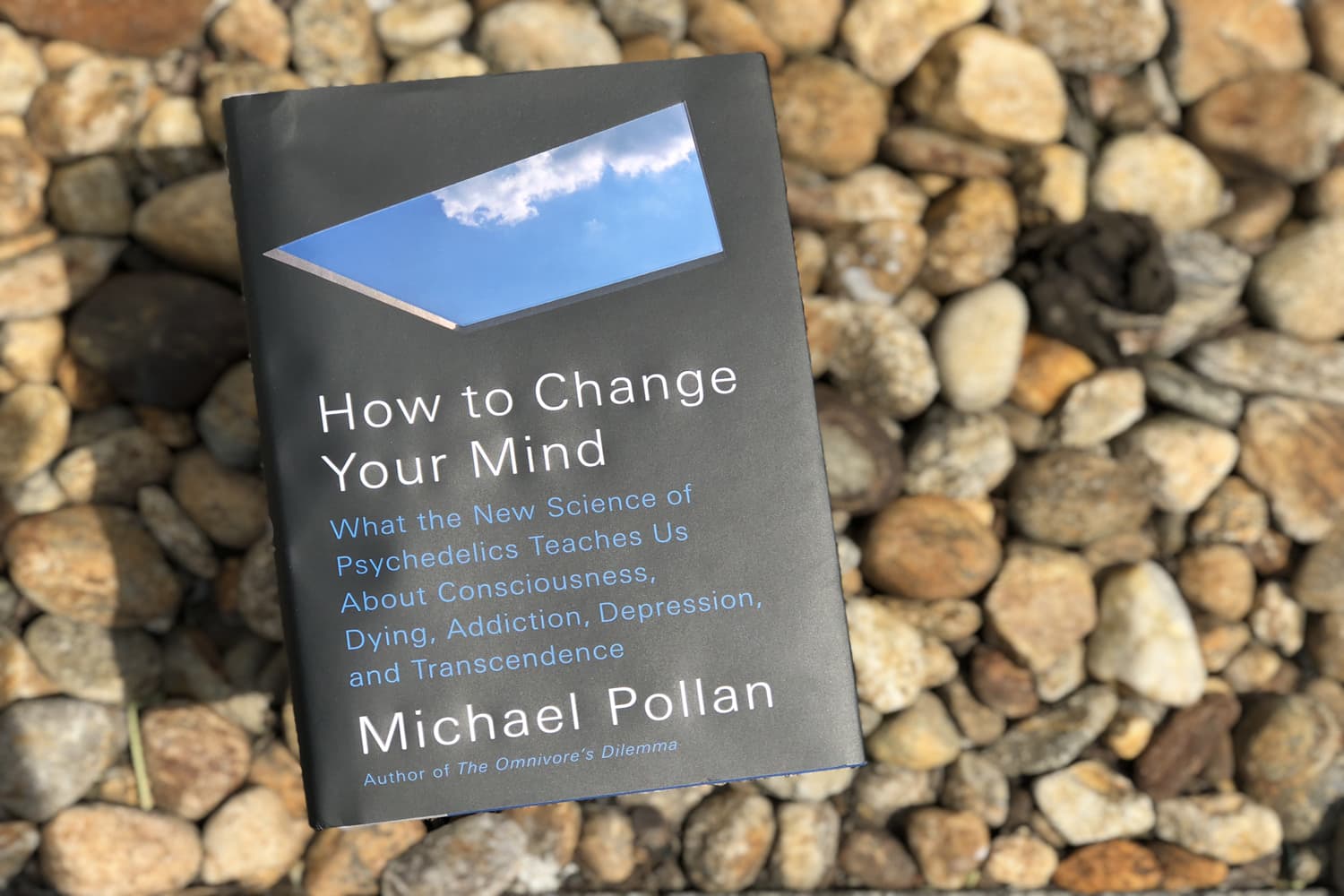 with-how-to-change-your-mind-taking-a-trip-with-michael-pollan-the