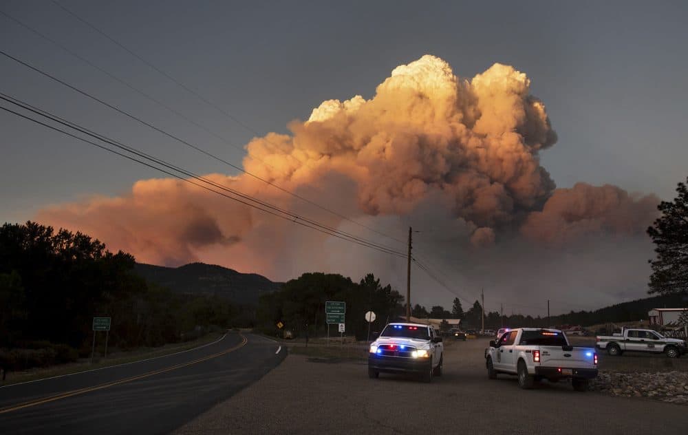 New Mexico Wildfire Forces Residents To Leave Their Homes Here & Now