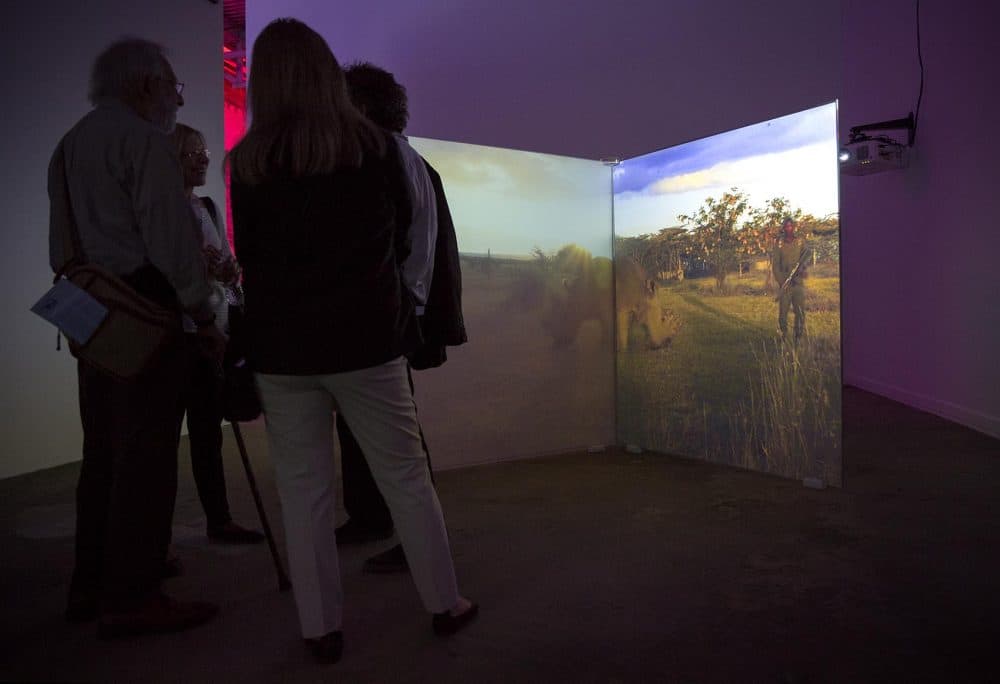 "As Radical As Reality" by artist Diana Thater at the ICA Watershed in East Boston. (Robin Lubbock/WBUR)