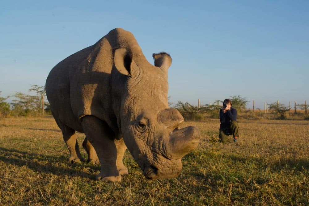 Diana Thater in the field. (Courtesy T. Kelly Mason)