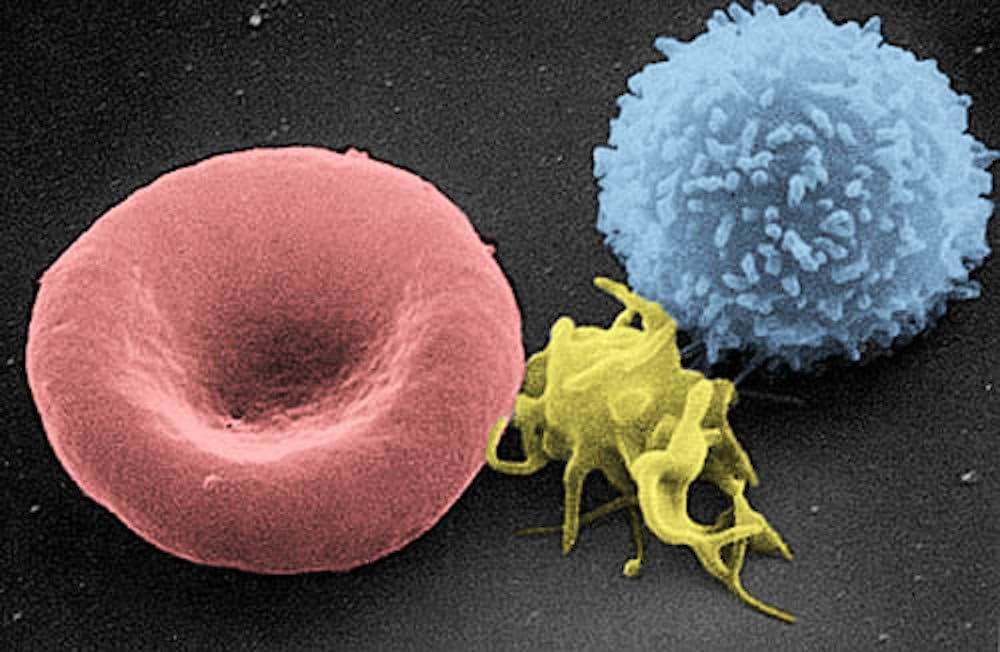 Next Era For Biotech Designer Cells To Attack Diseases