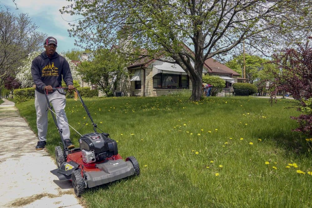 mower the lawn