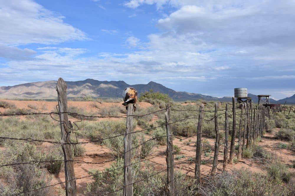 A barbed wire fence at Trinity Base Camp. A water tower is seen in the distance. (Courtesy Jeff Rice)