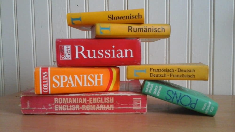 What do you want to know about language? (Tessakay/Pixabay)
