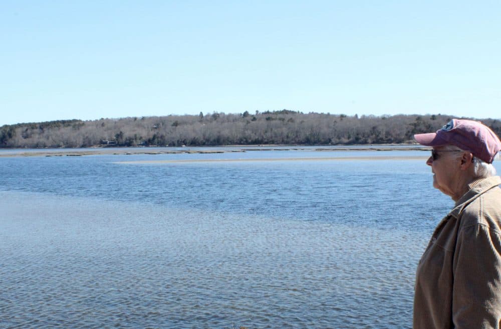 Eileen Sheehan looks out into the Westport River. (Courtesy of Juan Rodriguez)