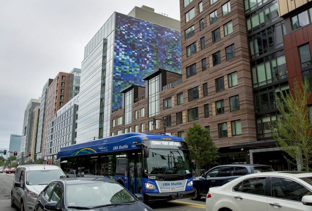 Raúl de Nieves' "All Is One" in the Fenway neighborhood. (Robin Lubbock/WBUR)