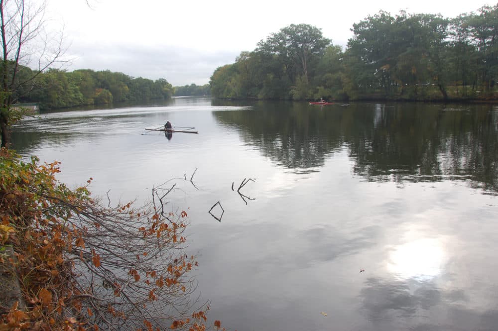 The Charles River in Watertown (Courtesy of Chris Devers/Flickr)