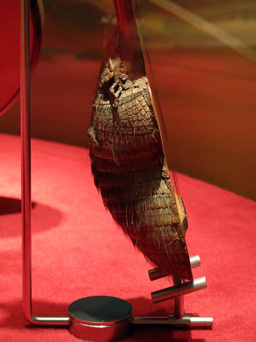 (Enfo/Wikimedia Commons)