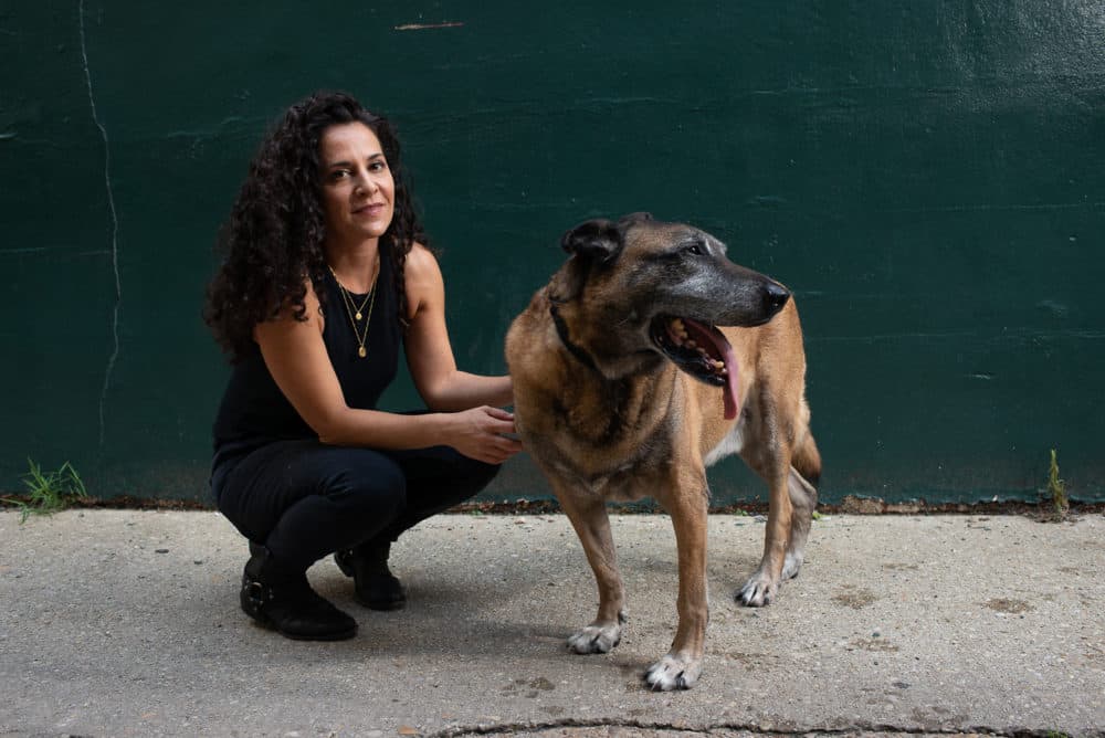 War Zone To Walks In The Park: How A Dog Deployed Overseas ...