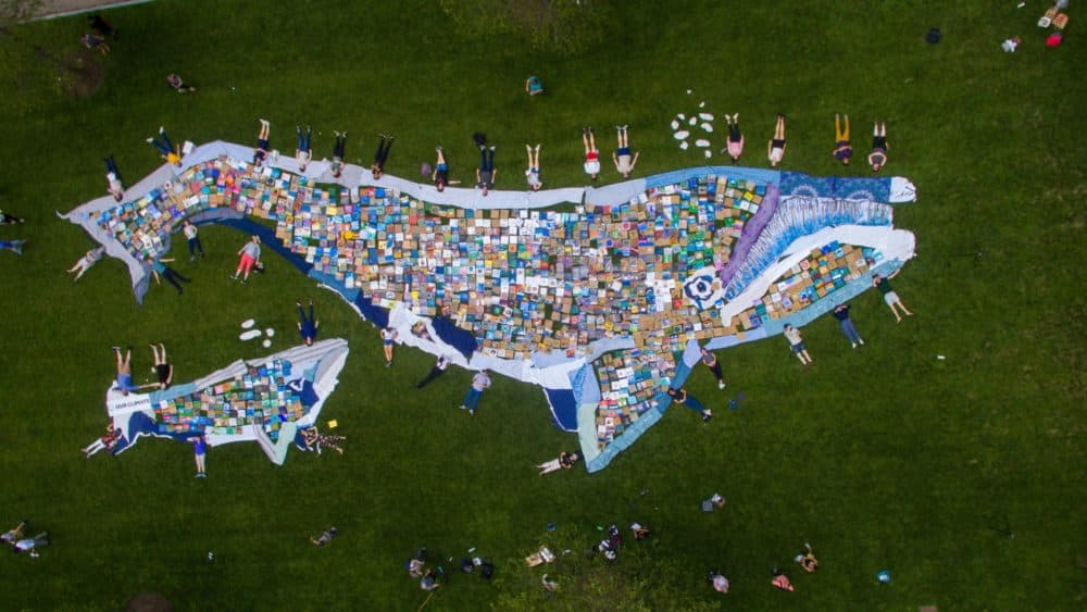 A Whale Of A Problem Youth Climate Activists Construct Mosaic In Boston Demand Action Earthwhile