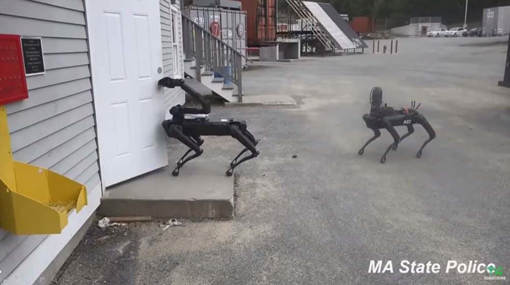 Boston Dynamics' Spot The Robot Dog 