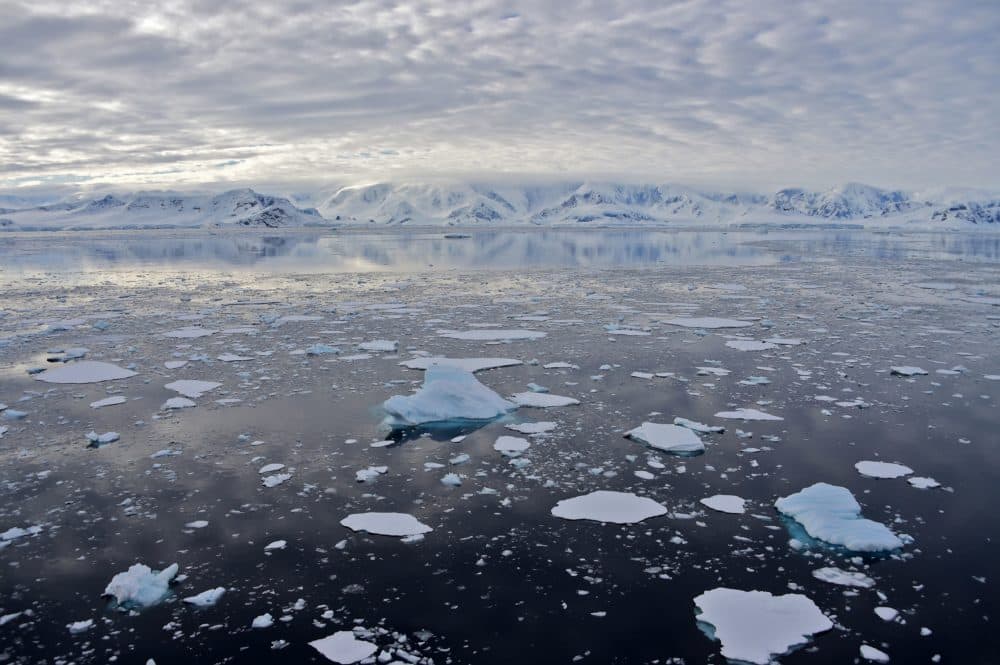 Study Predicts 'Rapid And Unstoppable' Antarctic Ice Melt If Paris Targets Missed - WBUR