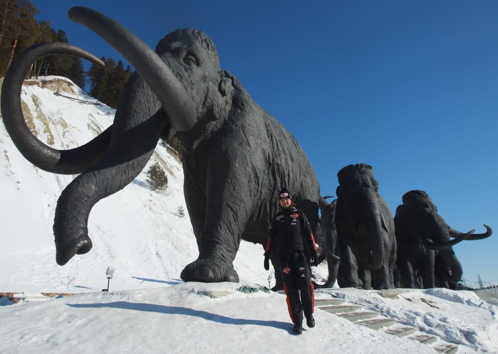 Don’t Count On Woolly Mammoths To Save The Planet - WBUR