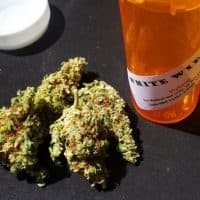 White widow, a strain of marijuana, sold as medical marijuana in California. (eggrole/Flickr)