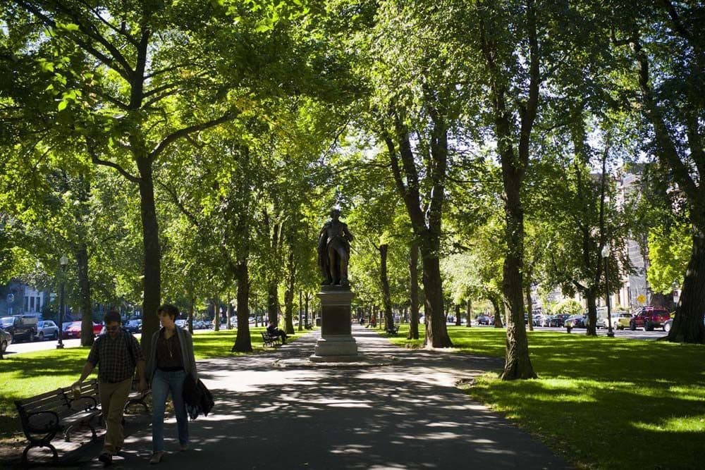 The lack of major complaints by many Back Bay residents shows what a success story this area largely is. Pictured here, the mall along Commonwealth Avenue. (Dominick Reuter for WBUR)