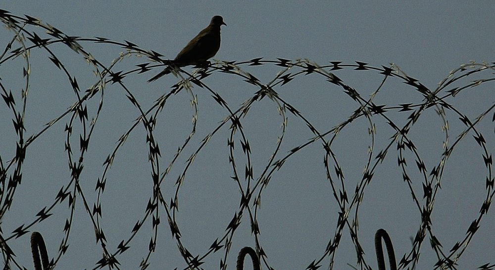 A bird sits on the razorwire fence of the prison, as Iraqi prisoners wait to be released at Abu Ghraib prison west of Baghdad in Iraq on Friday, June 23, 2006. (Wathiq Khuzaie/AP)