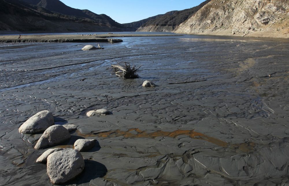 The San Gabriel River passes over mud in the dry upper reaches of San Gabriel Reservoir in the Angeles National Forest on January 22, 2014 in near Azusa, California. (David McNew/Getty Images)